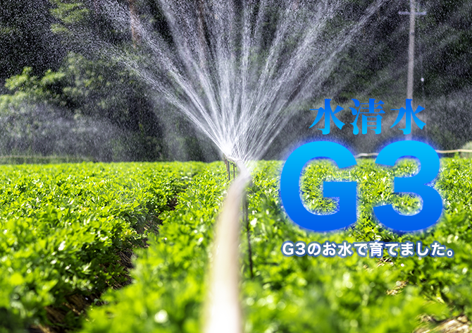 水清水G３のお水で栽培