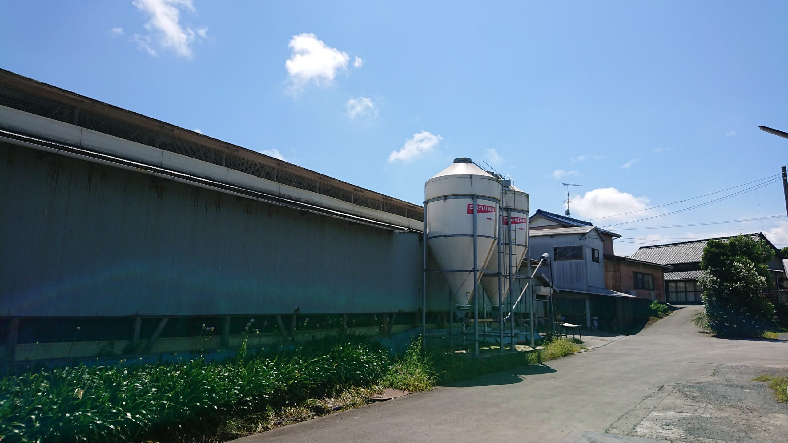 産地情報